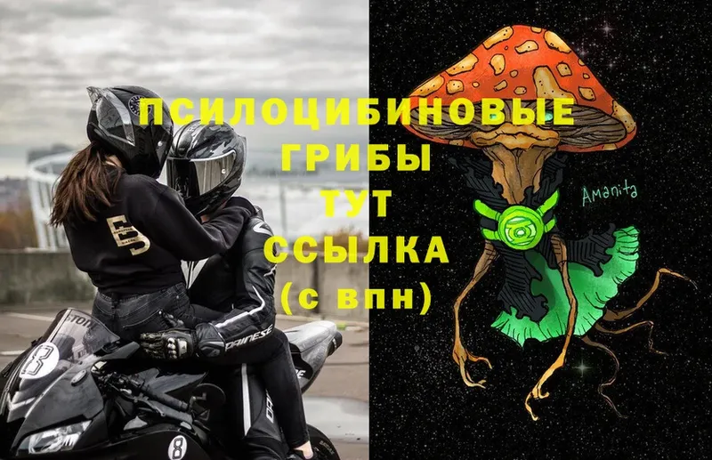 Галлюциногенные грибы Cubensis  Жуков 